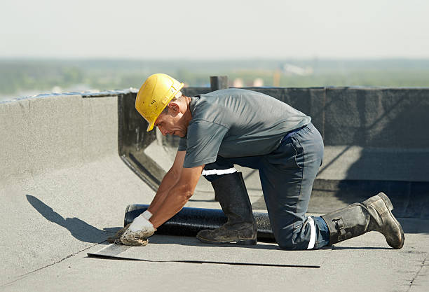 Best Cellulose Insulation in Gordonsville, TN